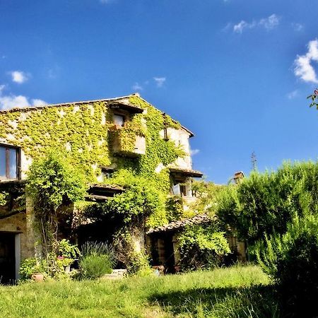 Podere Patrignone Guest House Castellina in Chianti Exterior foto