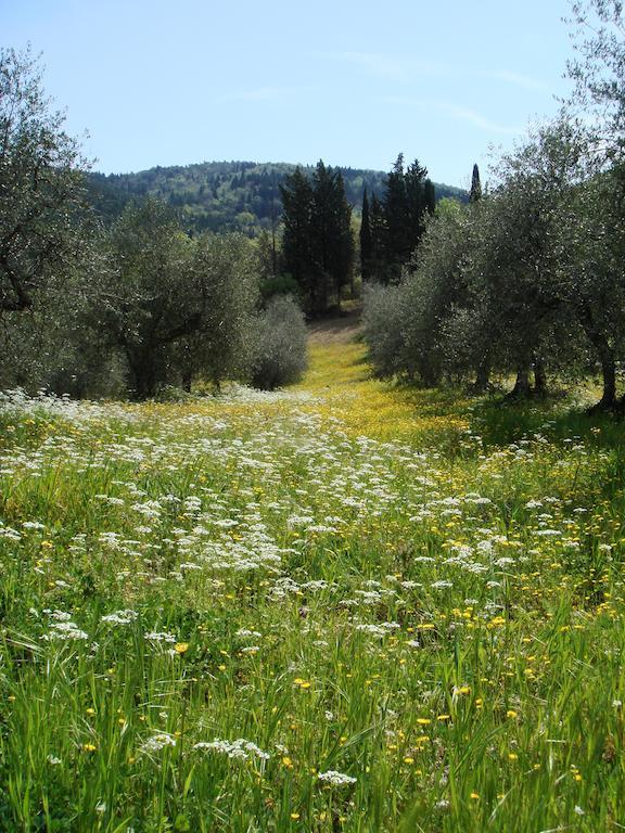 Podere Patrignone Guest House Castellina in Chianti Exterior foto