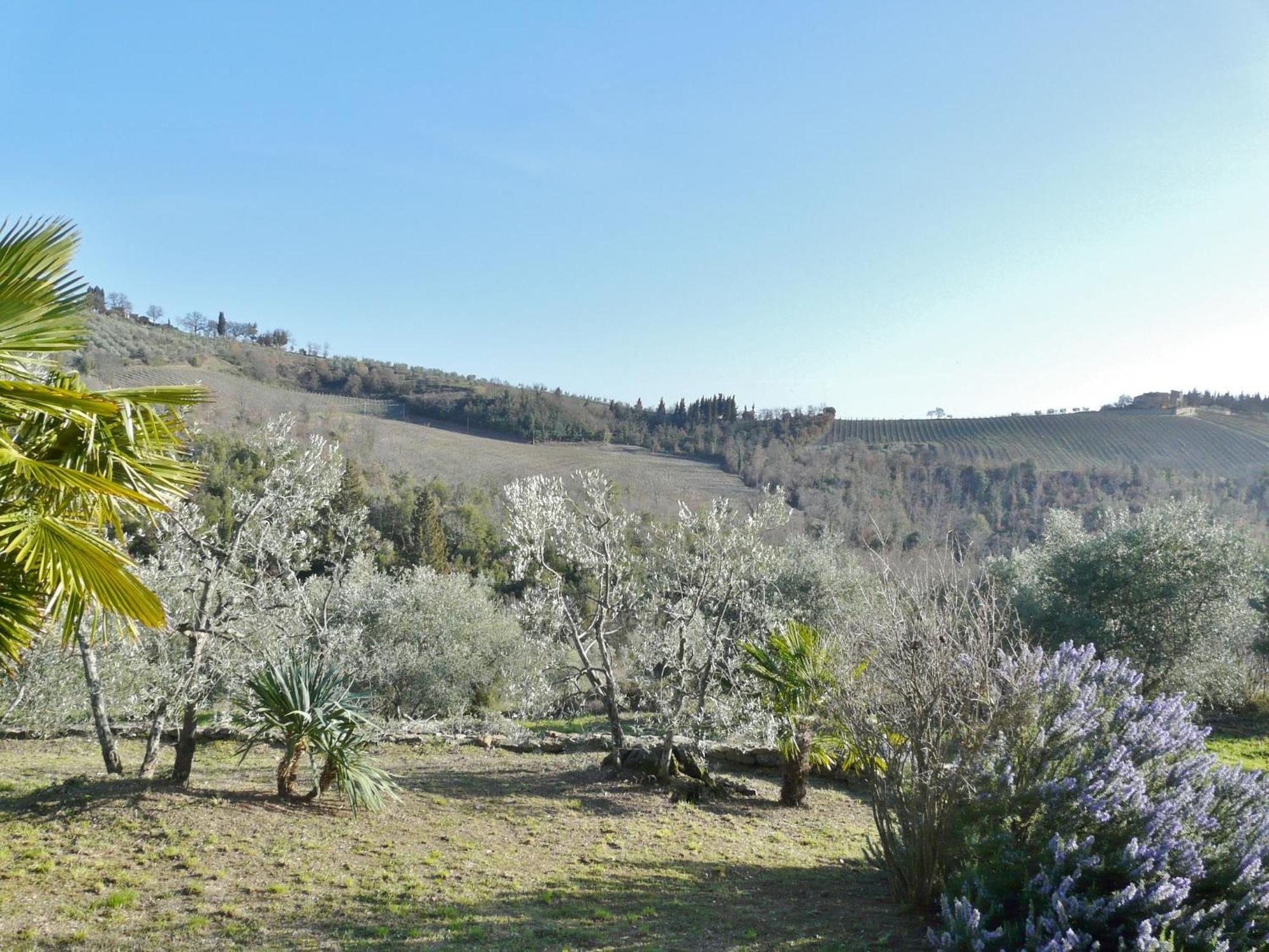 Podere Patrignone Guest House Castellina in Chianti Cameră foto