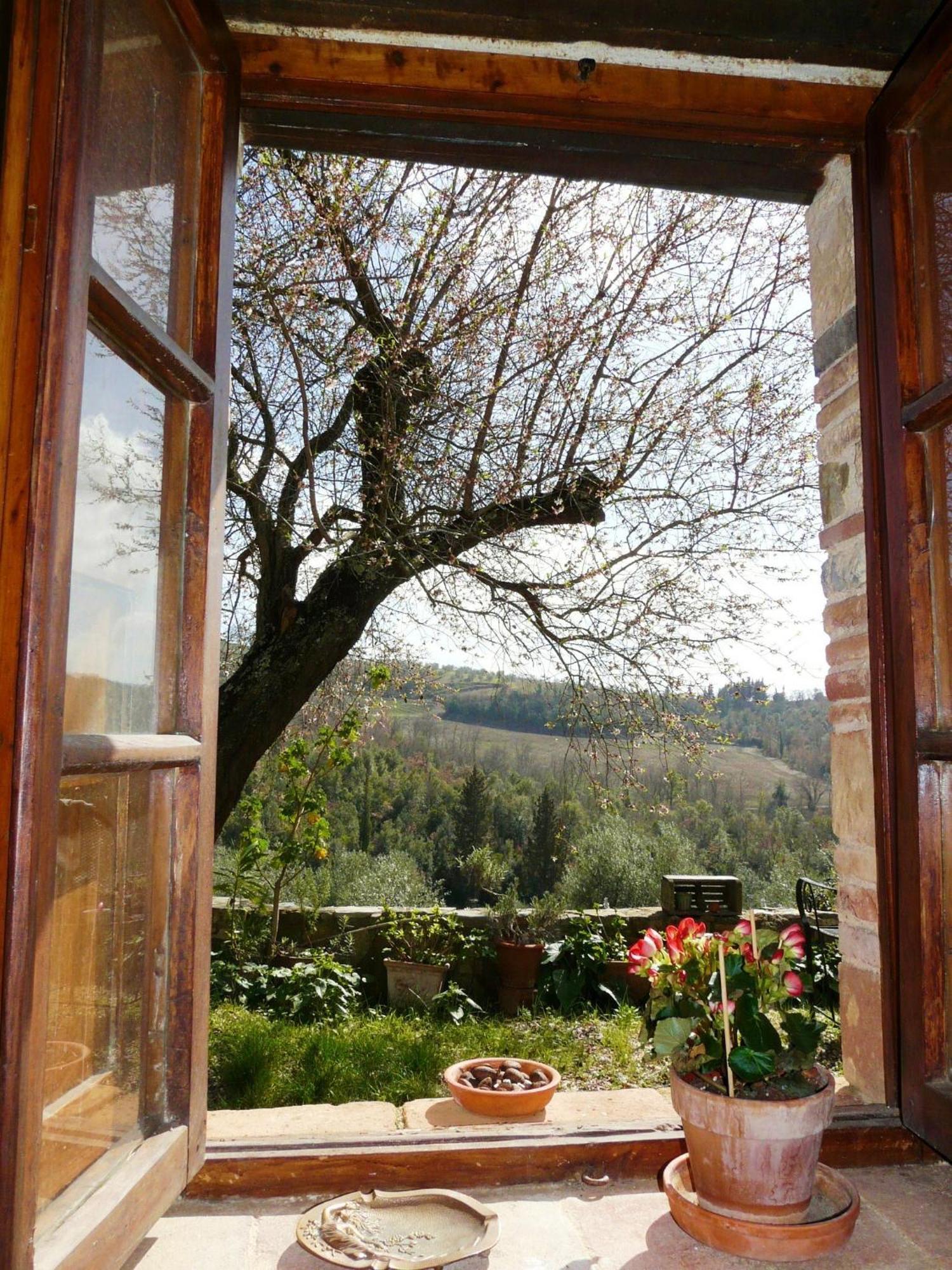 Podere Patrignone Guest House Castellina in Chianti Cameră foto
