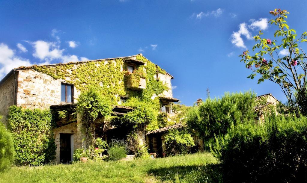 Podere Patrignone Guest House Castellina in Chianti Exterior foto